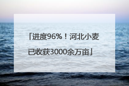 进度96%！河北小麦已收获3000余万亩