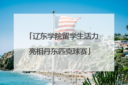 辽东学院留学生活力亮相丹东匹克球赛