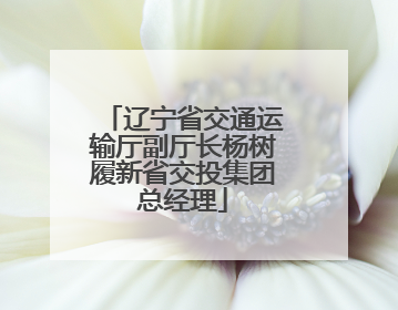 辽宁省交通运输厅副厅长杨树履新省交投集团总经理