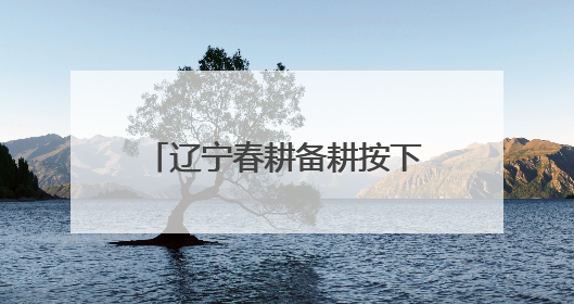 辽宁春耕备耕按下“科技快进键”