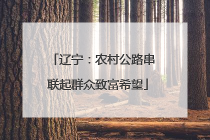 辽宁：农村公路串联起群众致富希望