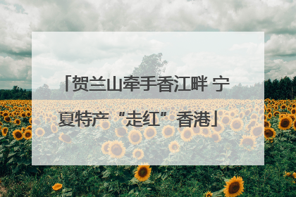 贺兰山牵手香江畔 宁夏特产“走红”香港