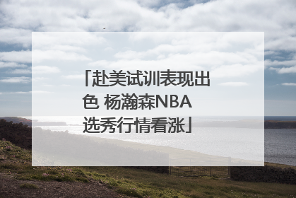 赴美试训表现出色 杨瀚森NBA选秀行情看涨