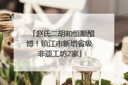 赵氏二胡和恒顺醋博！镇江市新增省级非遗工坊2家