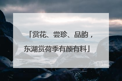 赏花、尝珍、品韵，东湖赏荷季有颜有料