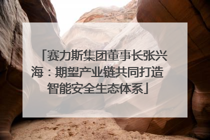 赛力斯集团董事长张兴海：期望产业链共同打造智能安全生态体系