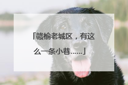赣榆老城区，有这么一条小巷……