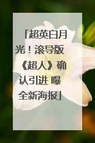 超英白月光！滚导版《超人》确认引进 曝全新海报