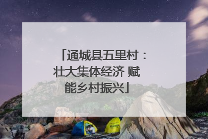通城县五里村：壮大集体经济 赋能乡村振兴
