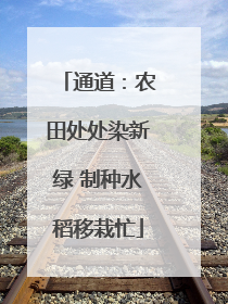 通道：农田处处染新绿 制种水稻移栽忙