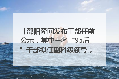 邵阳隆回发布干部任前公示，其中三名“95后”干部拟任副科级领导，均系硕士选调生