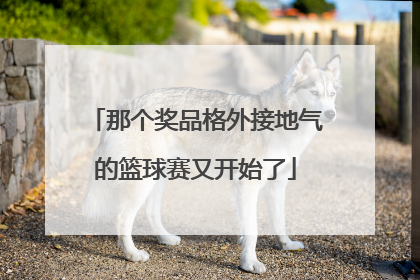 那个奖品格外接地气的篮球赛又开始了