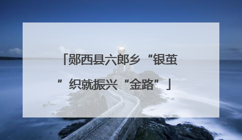 郧西县六郎乡“银茧”织就振兴“金路”