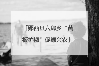 郧西县六郎乡“黄板护椒”促绿兴农