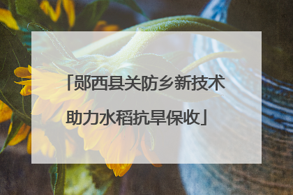 郧西县关防乡新技术助力水稻抗旱保收