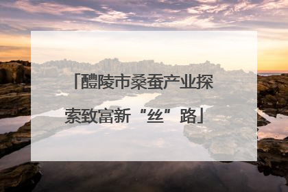 醴陵市桑蚕产业探索致富新“丝”路