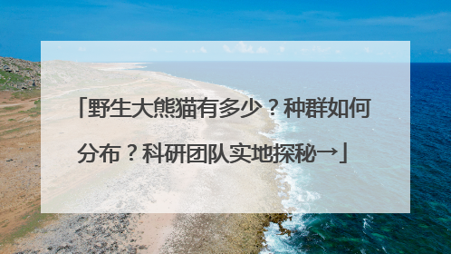 野生大熊猫有多少？种群如何分布？科研团队实地探秘→