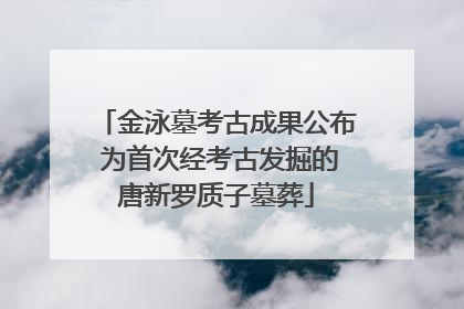 金泳墓考古成果公布 为首次经考古发掘的唐新罗质子墓葬