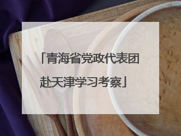 青海省党政代表团赴天津学习考察