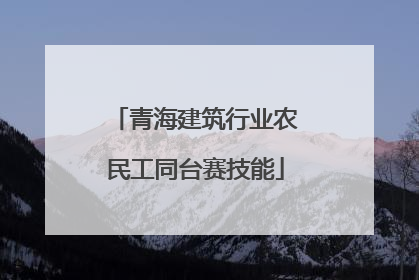 青海建筑行业农民工同台赛技能