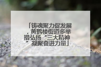 铸魂聚力促发展，黄鹤楼街道多举措弘扬“三大精神”凝聚奋进力量