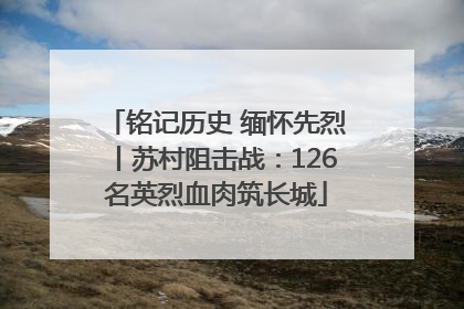 铭记历史 缅怀先烈丨苏村阻击战：126名英烈血肉筑长城