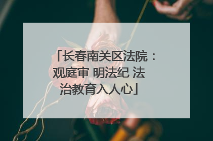 长春南关区法院：观庭审 明法纪 法治教育入人心