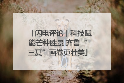 闪电评论｜科技赋能芒种胜景 齐鲁“三夏”画卷更壮美