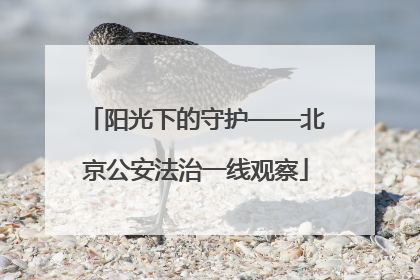 阳光下的守护——北京公安法治一线观察