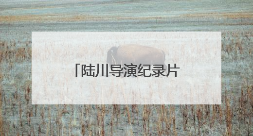 陆川导演纪录片《西野》获关注