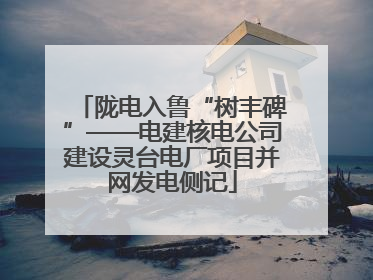陇电入鲁“树丰碑”——电建核电公司建设灵台电厂项目并网发电侧记