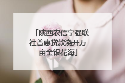 陕西农信宁强联社普惠贷款浇开万亩金银花海