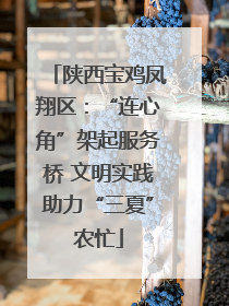 陕西宝鸡凤翔区：“连心角”架起服务桥 文明实践助力“三夏”农忙