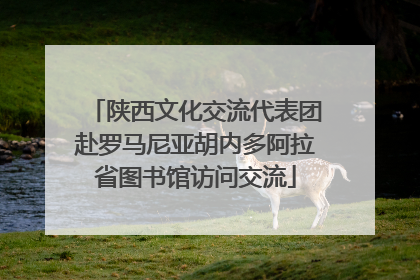 陕西文化交流代表团赴罗马尼亚胡内多阿拉省图书馆访问交流
