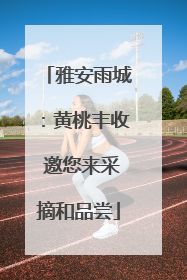 雅安雨城：黄桃丰收 邀您来采摘和品尝