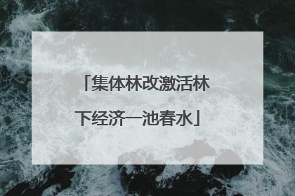 集体林改激活林下经济一池春水