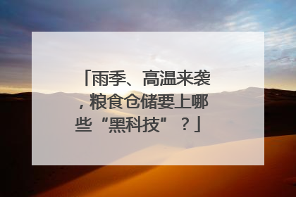雨季、高温来袭，粮食仓储要上哪些“黑科技”？