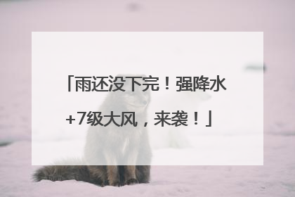 雨还没下完！强降水+7级大风，来袭！