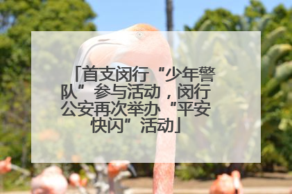首支闵行“少年警队”参与活动，闵行公安再次举办“平安快闪”活动