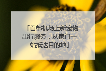 首都机场上新宠物出行服务，从家门一站抵达目的地