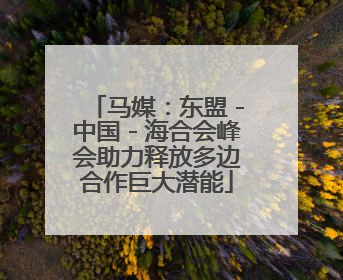 马媒：东盟－中国－海合会峰会助力释放多边合作巨大潜能