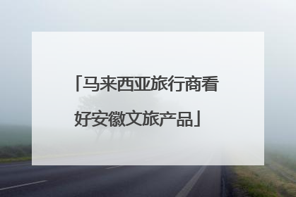 马来西亚旅行商看好安徽文旅产品