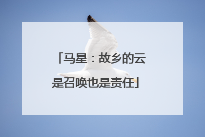马星：故乡的云是召唤也是责任
