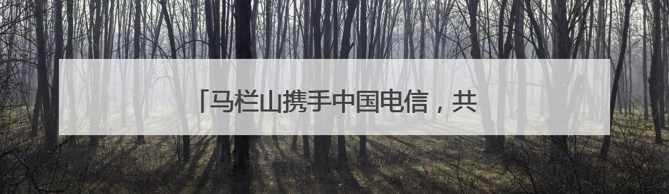 马栏山携手中国电信，共绘文化科技融合发展蓝图