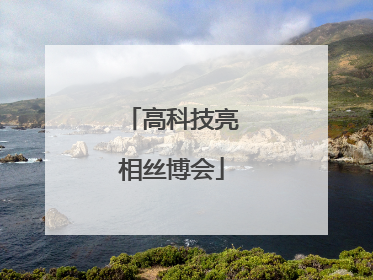 高科技亮相丝博会