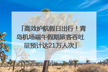 高效护航假日出行！青岛机场端午假期旅客吞吐量预计达21万人次