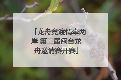 龙舟竞渡情牵两岸 第二届闽台龙舟邀请赛开赛