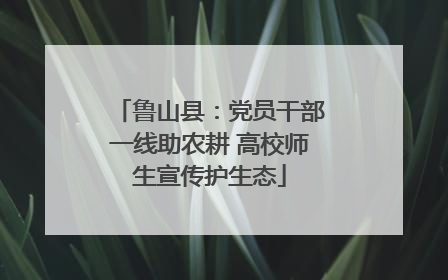 鲁山县：党员干部一线助农耕 高校师生宣传护生态