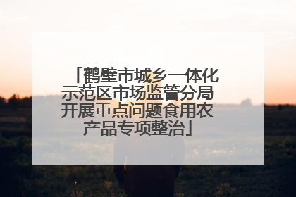 鹤壁市城乡一体化示范区市场监管分局开展重点问题食用农产品专项整治