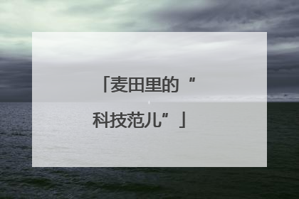 麦田里的“科技范儿”